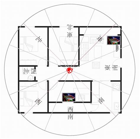 坐西南朝東北財位|坐西南朝東北的12個房屋風水專業建議，助你選擇最佳住宅 